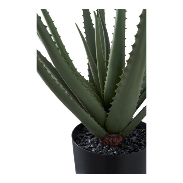 House Nordic - Aloe Vera - Kunstpflanze, grün H:51 cm – Bild 3