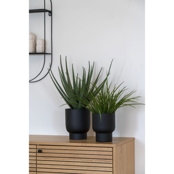 House Nordic - Aloe Vera - Kunstpflanze, grün H:51 cm – Bild 5