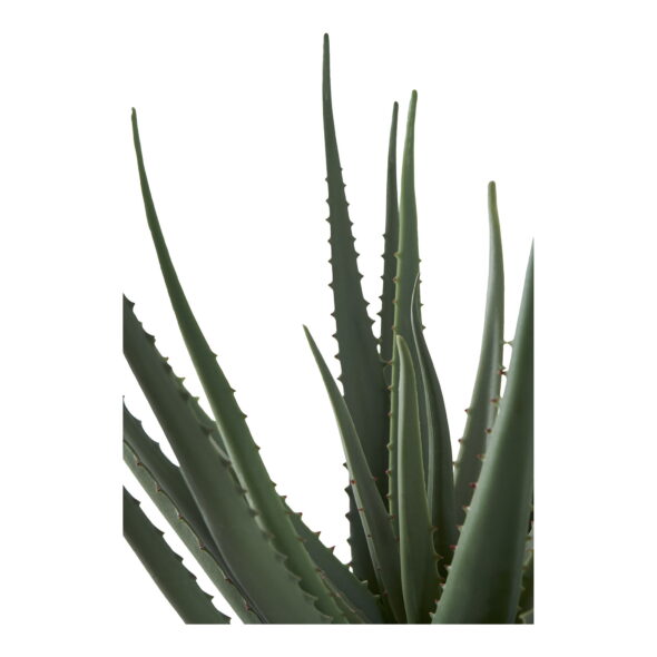 House Nordic - Aloe Vera - Kunstpflanze, grün H:51 cm – Bild 4