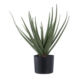 House Nordic - Aloe Vera - Kunstpflanze, grün H:51 cm