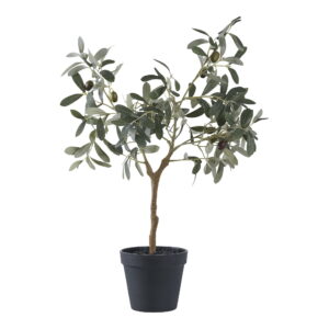 House Nordic - Olivenbaum - Kunstpflanze, grün H:61 cm