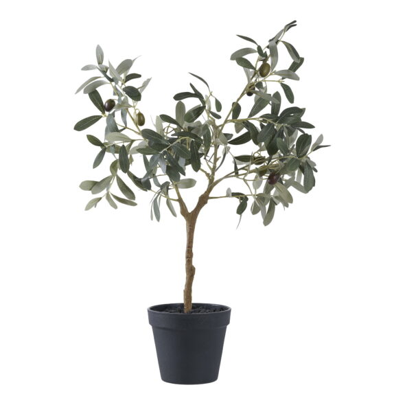 House Nordic - Olivenbaum - Kunstpflanze, grün H:61 cm