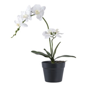 House Nordic - Orchidee - Kunstpflanze, grün/weiß H:49 cm