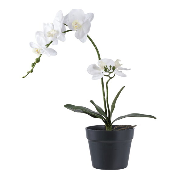 House Nordic - Orchidee - Kunstpflanze, grün/weiß H:49 cm