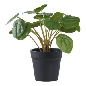 House Nordic - Pelia - Kunstpflanze, grün H:28 cm