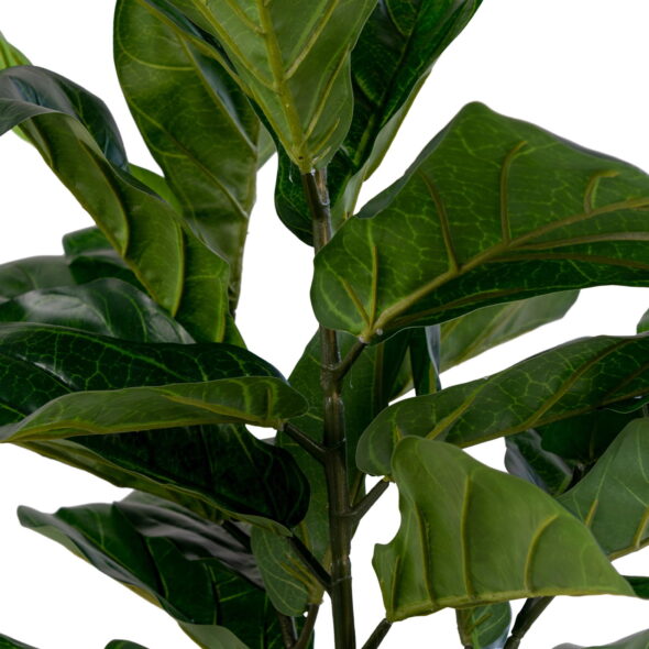 House Nordic - Fiddle Leaf Tree - Kunstpflanze, grün H:100 cm – Bild 2