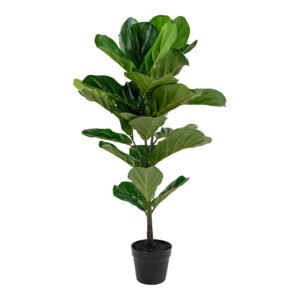 House Nordic - Fiddle Leaf Tree - Kunstpflanze, grün H:100 cm