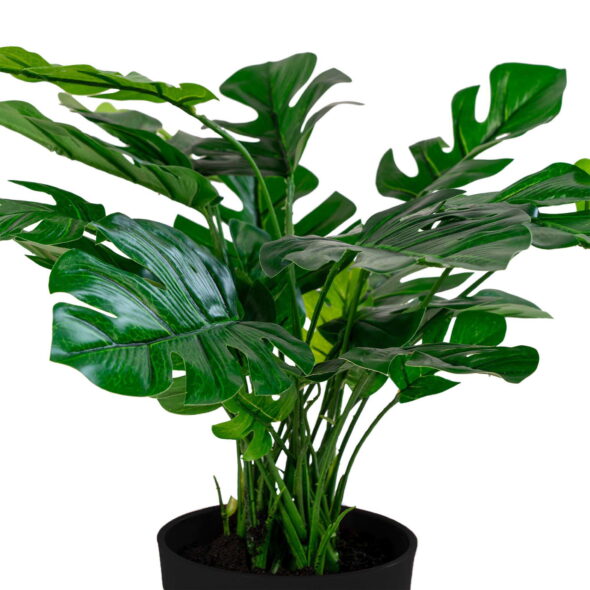 House Nordic - Monstera - Kunstpflanze, grün H:45 cm – Bild 3