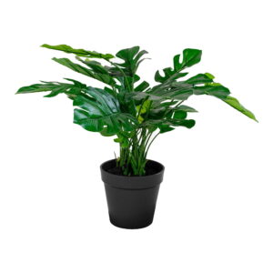 House Nordic - Monstera - Kunstpflanze, grün H:45 cm