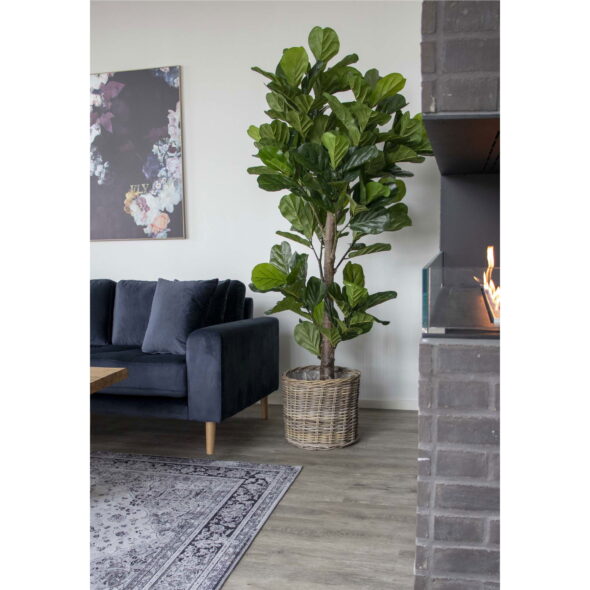 House Nordic - Fiddle Leaf Tree - Kunstpflanze, grün H:190 cm – Bild 2