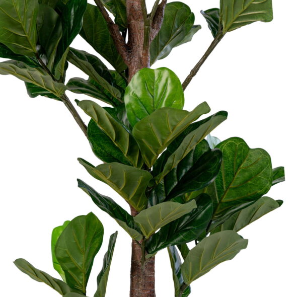 House Nordic - Fiddle Leaf Tree - Kunstpflanze, grün H:190 cm – Bild 3