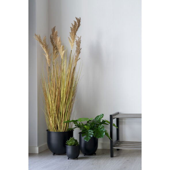 House Nordic - Sorghumgras - Kunstpflanze, natur H:110 cm – Bild 6
