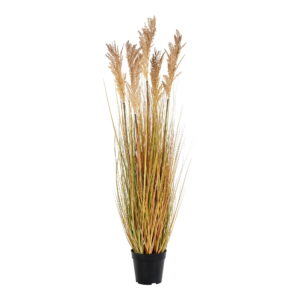 House Nordic - Sorghumgras - Kunstpflanze, natur H:110 cm