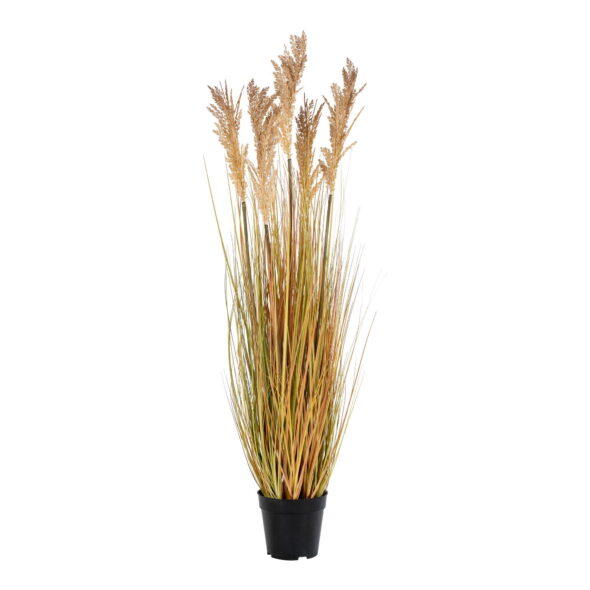 House Nordic - Sorghumgras - Kunstpflanze, natur H:110 cm