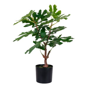 House Nordic - Feigenbaum - Kunstpflanze, grün H:60 cm