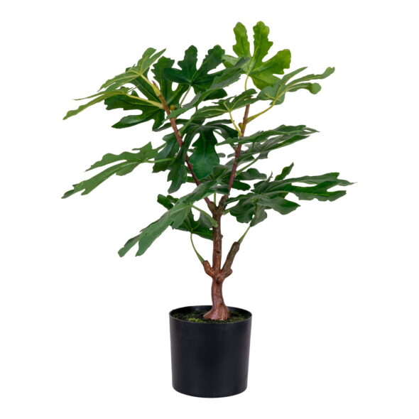 House Nordic - Feigenbaum - Kunstpflanze, grün H:60 cm