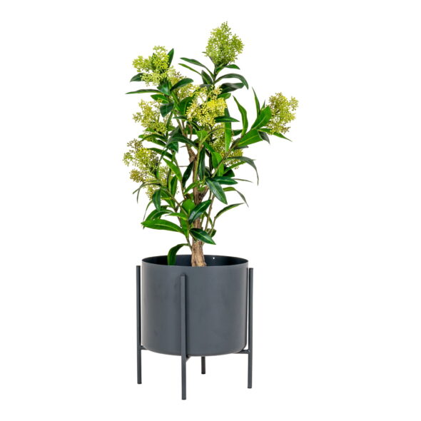 House Nordic - Skimmia-Baum - Kunstpflanze, grün H:75 cm – Bild 3