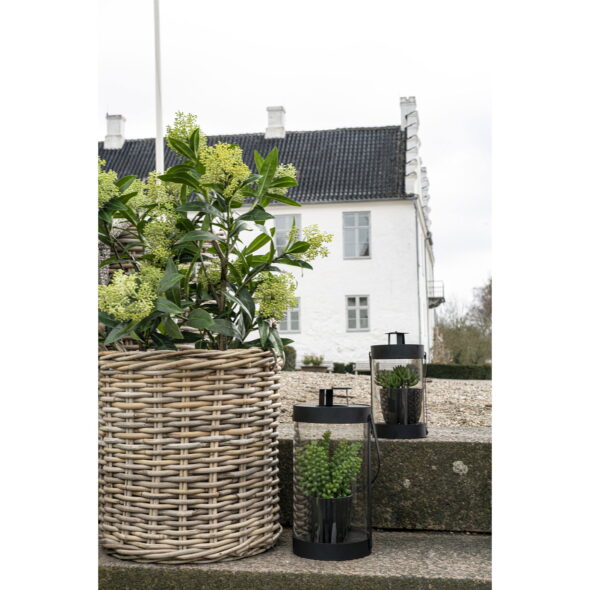 House Nordic - Skimmia-Baum - Kunstpflanze, grün H:75 cm – Bild 8