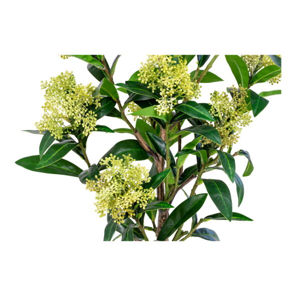 House Nordic - Skimmia-Baum - Kunstpflanze, grün H:75 cm – Bild 5
