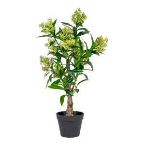 House Nordic - Skimmia-Baum - Kunstpflanze, grün H:75 cm
