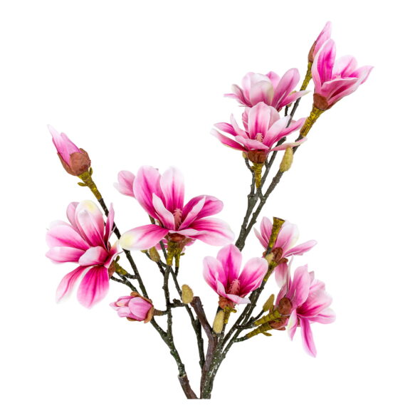 House Nordic - Magnolienbaum - Kunstpflanze, rosa H:74 cm – Bild 4