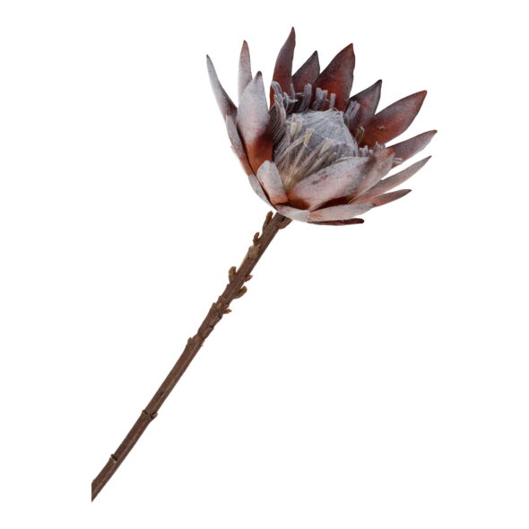 House Nordic - King Protea Bouquet - Künstliche Blumen, Rosenmischung H:74 cm – Bild 5